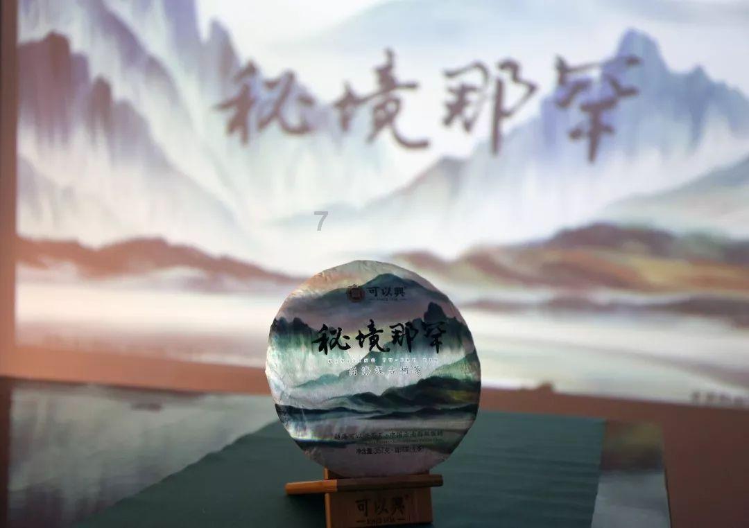 深圳罗湖发布“低空经济十条”